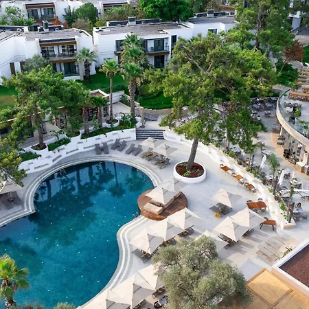 Doora Bodrum Torba